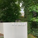 온어데일리 이미지