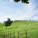 강릉목장 이미지