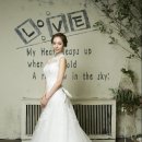 드레스코코 Daum카페