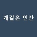 상중 Daum카페