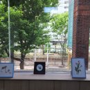 시지율정신건강의학과의원 | #심리상담 교육 #성장프로그램
