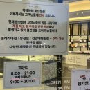 대전 둔산동 풍자 또간집에 나온 빵지순례 빵집 - 하레하레