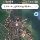 미크로스 네이버블로그