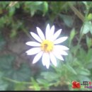 산촌노래방 이미지
