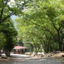 유명산자연휴양림 이미지