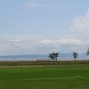 아름다운삶 이미지