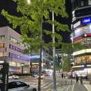 초림 노래연습장 이미지