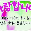 아름다운날 이미지