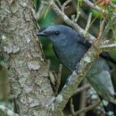 마라민박 이미지