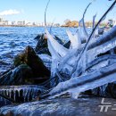 청양5세천 이미지