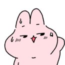 누네띠네안경원 네이버블로그