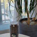 친환경나눔텃밭 | 7년 키운 드라코를 살려낸 거르미 님케이크 테라 님 뉴트리코 후기 (아자님 뉴트리코)