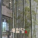 동촌3길 11, (교현동) | photo dump.14 해월당동촌점비추천/하중도코스모스/침산동족발맛집/투핸즈투/경주당일캠핑/생물대하택배...