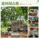 포어레스트