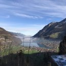 5198 | 스위스 패키지 여행 장단점 여행일정 후기