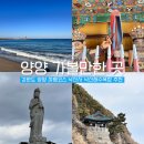 강원도 양양 가볼만한 곳 여행코스 놀거리 추천 낙산사 낙산해수욕장
