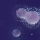 KB바이오 | 에스바이오메딕스, 전환가액 근접…CB 향방에 시장 &#39;촉각&#39;