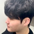 헤어니스트 이미지