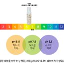 코즈볼_시투안 천연성분 클렌저 / 바디워시 / 샴푸 찐 사용후기!