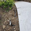 철탑 농장 이미지