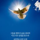 구원의 기쁜소식 941호 이미지