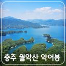싱여동럭셔리여행사 Daum카페