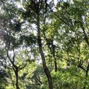 연산배수지체육공원