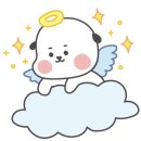 깐돌이네 애견미용호텔 이미지