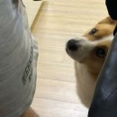 프룻킹 | [11월] 그래서 어쩌라고 우리는 젊습니다.