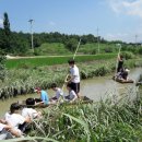 우포가시연꽃마을 이미지