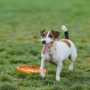 신도림S동물의료센터 이미지