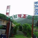 보현산 약초마을 이미지