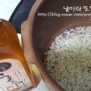 팔도씨드
