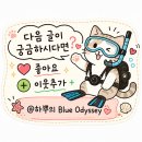 인천e음상조 | 보홀 3박 4일 자유여행 일정 총정리! 경비·준비물·다이빙 코스까지 한눈에