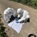 서귀포보건소 이미지