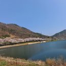 군민족구장 이미지