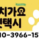 인천서구청라 가치가요 펫택시 이미지