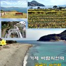 바람의언덕 이미지