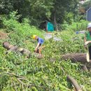 삼죽축구장 이미지