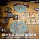 4월 일상 고양이 일상이 없어진 건에 대하여 4.12
