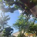 씨유진주반성터미널점 | [돌아온 블로그 챌린지]_봄과 여름 그리고 그치지 않는 비처럼