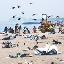 경포의휴일 이미지