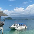 코타강쥐 | 3월 코타키나발루 여행 1, 디나완섬 투어