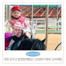 영천시운주산승마조련센터 | 영천 가볼만한곳 추천 5천원으로 승마체험? 6살 아이랑 다녀온 운주산 말문화체험관