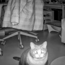 서초대로19길 10-1 (1) 이미지