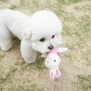 길음동물병원 이미지