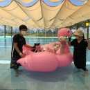 도그월드 이미지