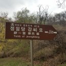 정일당강씨묘 이미지