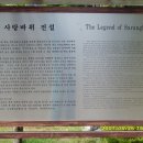 계곡사랑