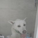 복희공인중개사사무소 이미지